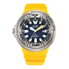 BJ8058-06L