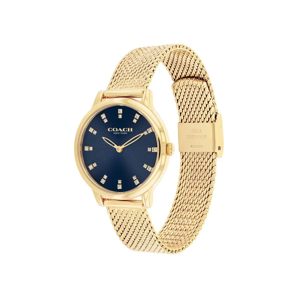 Chels Women Blue Quartz/Analog Watch