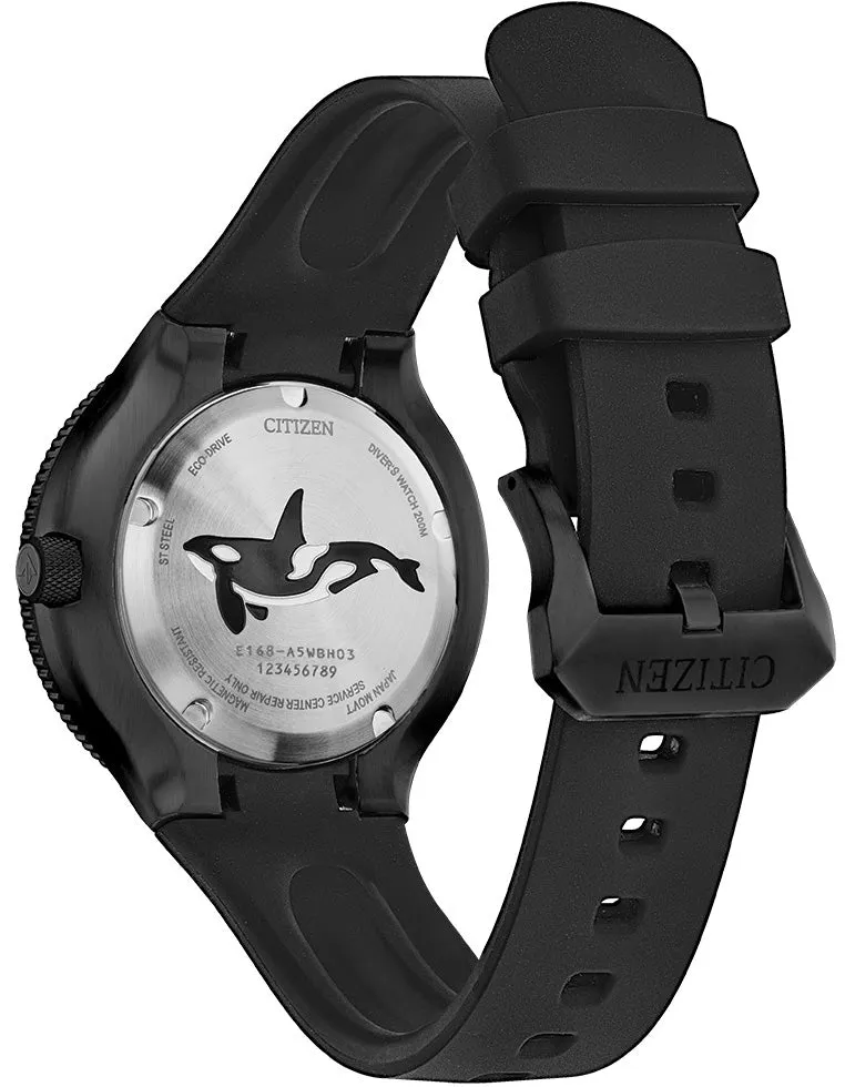 Citizen Promaster Dive Eco Drive & Torch Set