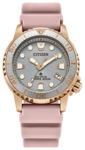 Citizen Stainless Steel Sport Watch