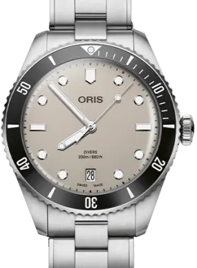 Divers Date Brown Ref. 01 733 7795 4051-Set