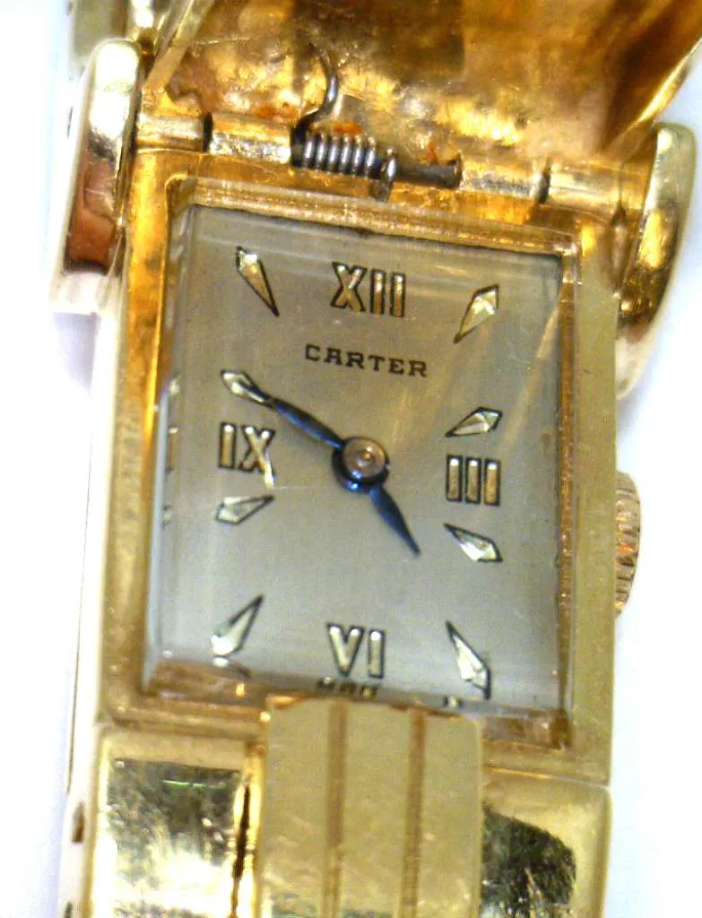Ladies' Carter watch